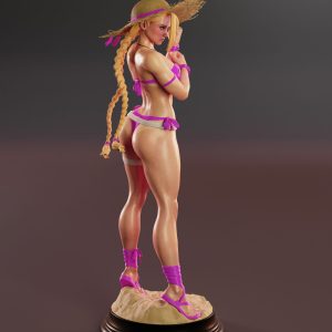 Combate Estival . Cammy y la Brisa de la Victoria: imagen 3