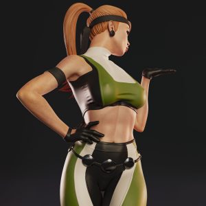 Estratega de las Fuerzas Especiales . Sonya y el Desafío del Torneo: imagen 6