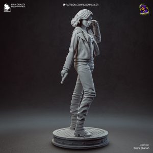La Investigadora del Requiem . Supervivencia y Coraje: imagen 9