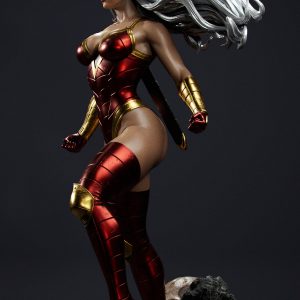 La Amazona del Conflicto Eterno: imagen 5