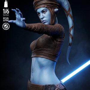 La Maestra de los Caminos de la Fuerza . Equilibrio, Justicia y Honor